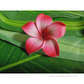 Hot Sale Handmade Made Eva Foam Plumeria Pick